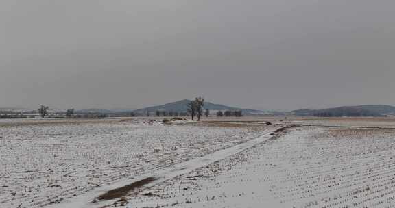 冬日俯瞰被白雪覆盖的村庄全景