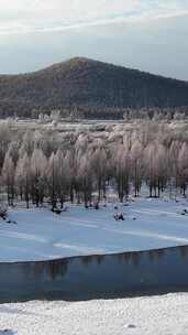 竖屏航拍大兴安岭雪原湿地雾凇241102 (3)