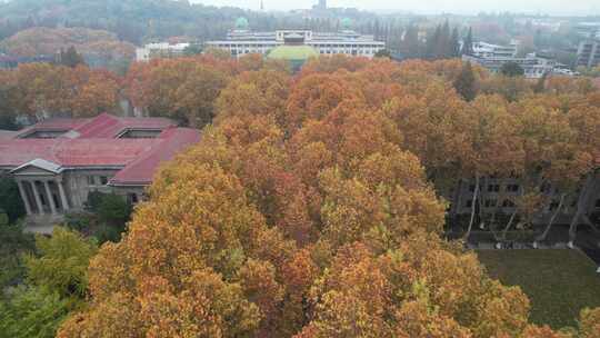 深秋的南京东南大学四牌楼校区风光航拍素材