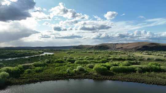 航拍内蒙古山丁子花开的湿地