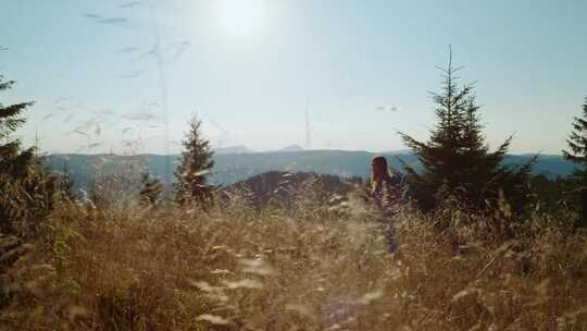 女人，徒步旅行，登山杖，干草