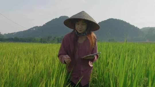 一个戴草帽的女人站在田野里