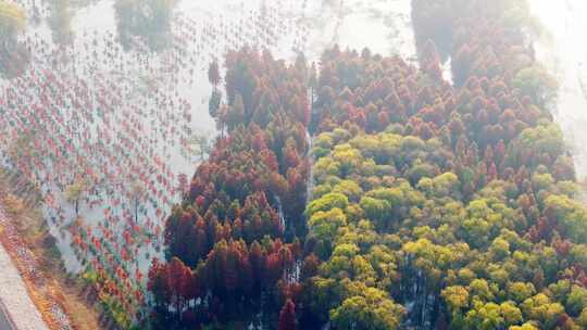 航拍西沙明珠湖景区西沙湿地生态环境