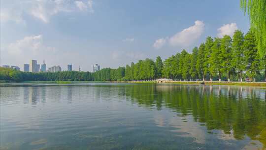 武汉东湖风景区夏季自然风光