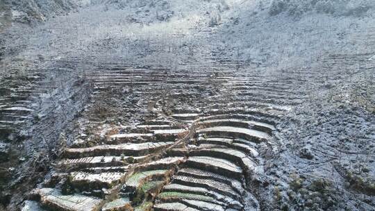 皖南梯田的第一场雪