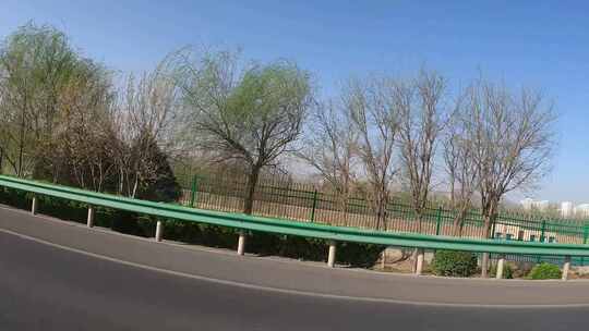 公路旁绿树与护栏景象