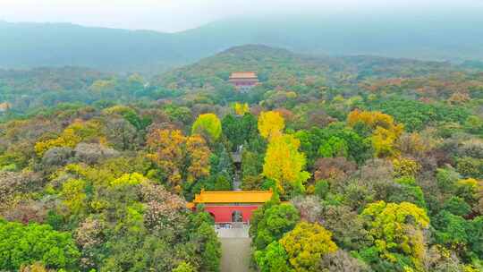 中山陵秋景