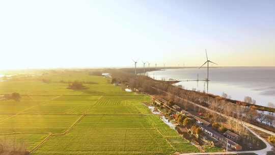航拍夕阳湖泊风力发电机组乡村振兴环保能源