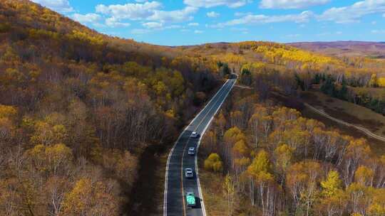大兴安岭的秋天