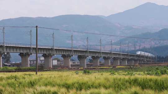 高铁跨桥行驶于田野山间