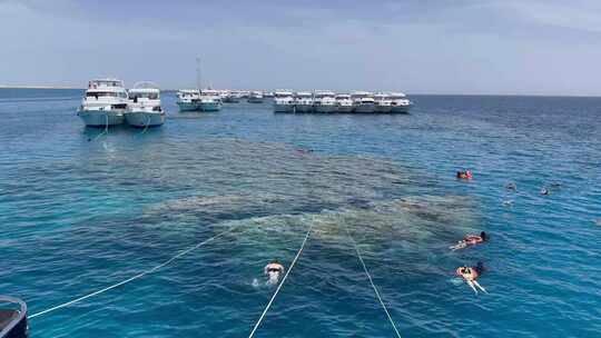 浮潜 邮轮 玩沙子 海滩 跳岛 埃及