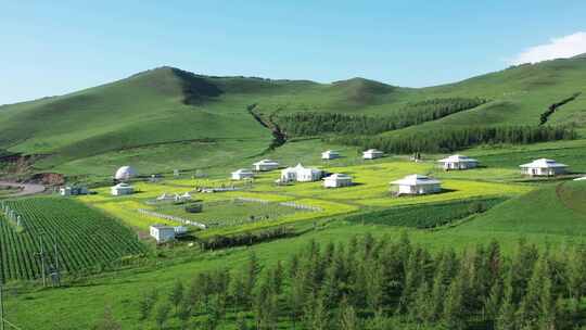 【航拍】草原风景 坝上草原