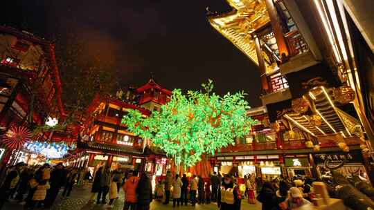 豫园 豫园灯会 上海城隍庙 夜景 灯光  蛇年