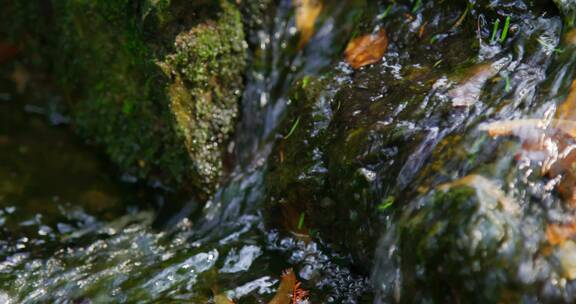 山泉泉水溪流溪水水源水花山间流水4K升格