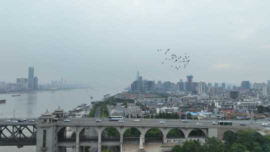 阴天城市上空一群鸟飞过城市飞鸟一群鸽子飞