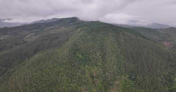 云南景迈山航拍