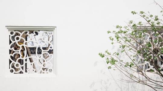 中式合院雕花窗户和微风中摆动的枝叶