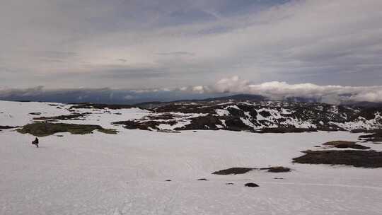 冷冰川雪海