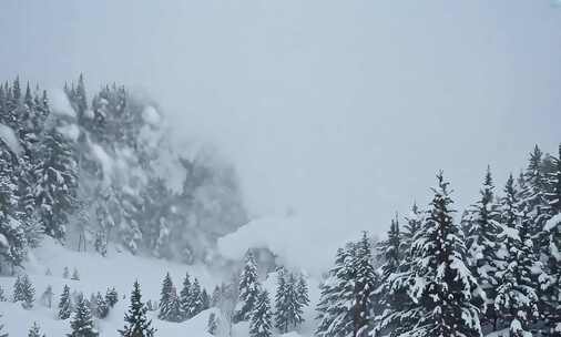 雪雾弥漫的山林景观