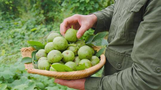 混合坚果