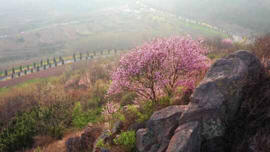 乡村振兴 绿水青山 大好河山 田园风光