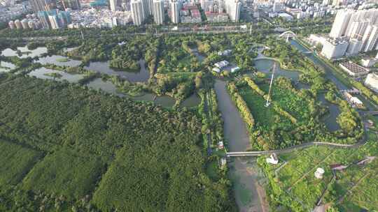 福田红树林生态公园