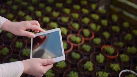 科技农业智能温室种植秧苗培育