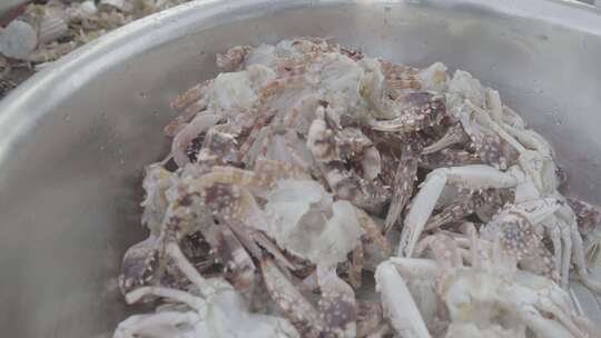 螃蟹清洗加工