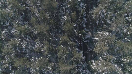 唯美长白山原始森林日出雪景航拍视频素材模板下载