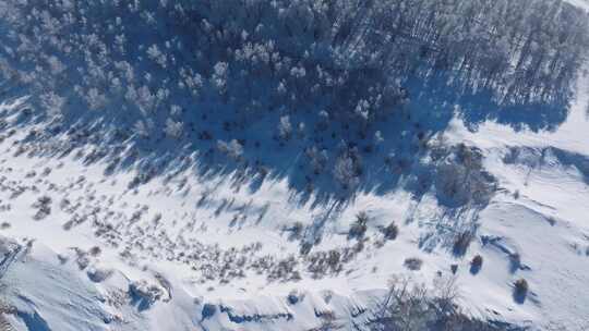 乌兰布统雾凇雪景雪林航拍