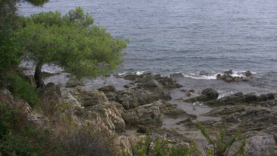 低潮时的海岸岩石景观