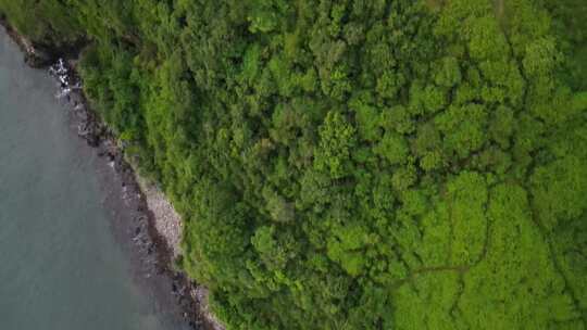 航拍海滩和绿植覆盖的小岛