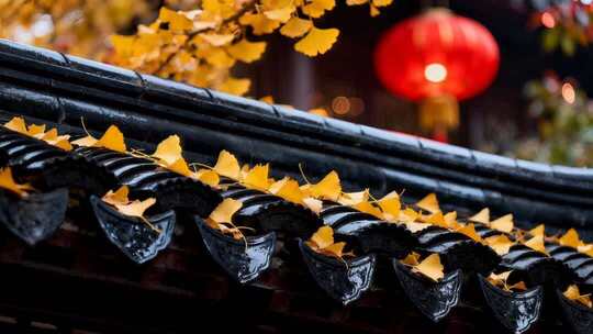 古建筑瓦片屋檐秋叶红灯笼