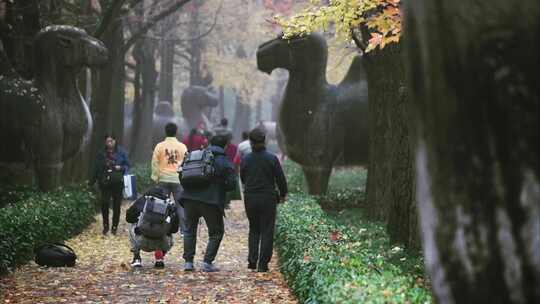 南京明孝陵石像路神道秋色景观