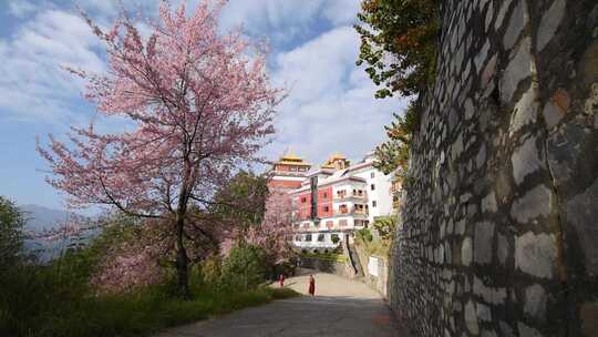 尼泊尔南摩布达创古寺建筑