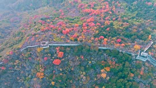 航拍万里长城秋天风景