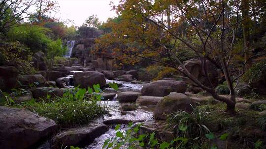 杭州西子湖畔杭州花圃园林景观4K视频合集