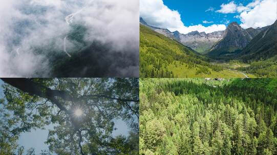 自然环境 快节奏 快切 快速 片头转场