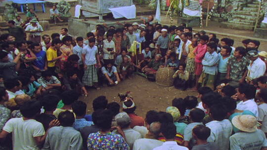 印度尼西亚巴厘岛的村民在斗鸡