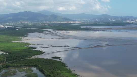 4K航拍深圳福田红树林湿地保护区