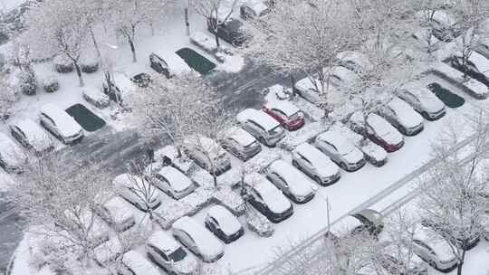 雪后城市街道交通景象