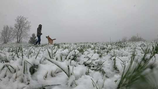 一个女人和她的狗玩雪