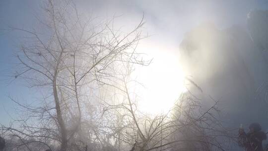 吉林省吉林市松花江边雾凇岛，雾凇景观