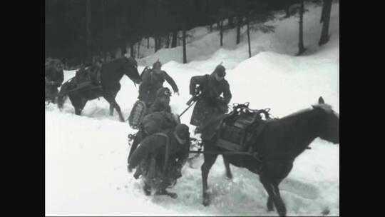 1935年奥地利人用雪橇把大炮带到阿尔卑斯山顶测试大炮