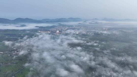 海南白沙茶园清晨平流雾航拍视频素材模板下载