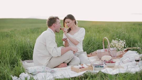 夫妇在草地上野餐