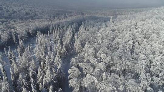 山林 冬天 雪 树 路 河流 航拍 4k 高清