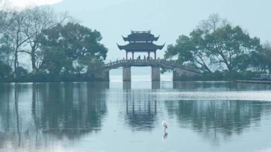 199 杭州 西湖 水鸟 清晨 桥