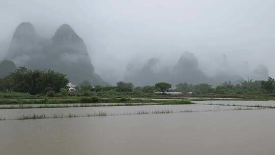 下雨天 农忙时节视频素材模板下载