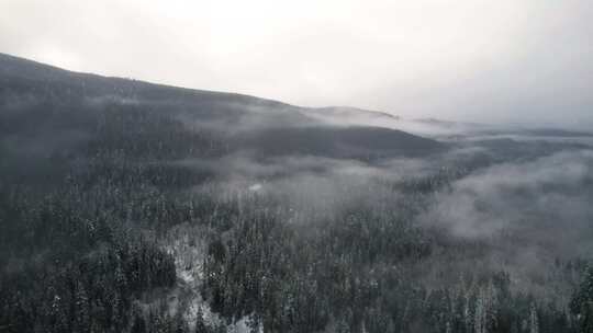 山，冬天，雪，树